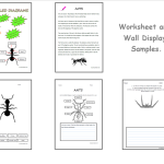 Visual Literacy – Working with Labelled Diagrams – Year 3 & 4 - Image 3