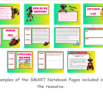 Working with the Super Six Comprehension Strategies - Questioning - Wonderings - Year 5 & 6. - Image 2